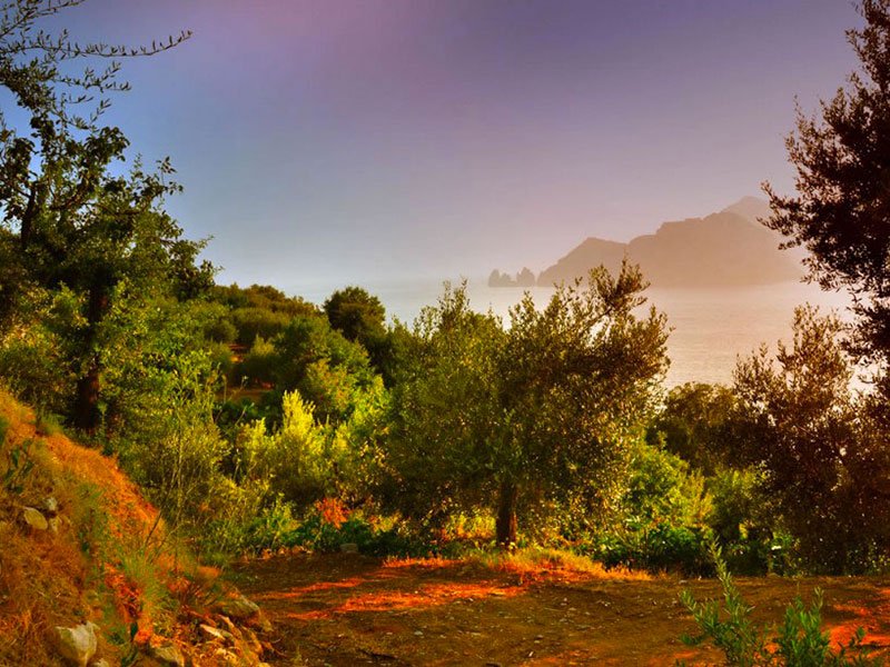 amalfi_sorrento_walks_small
