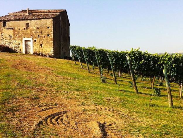 sannio_irpinia_wines_small