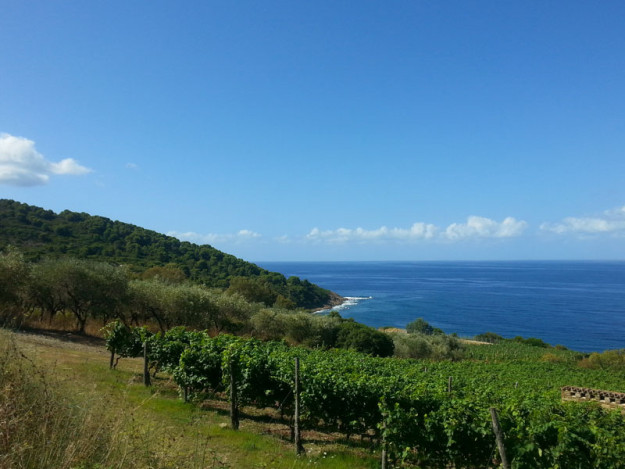 undiscoveredcilento_small