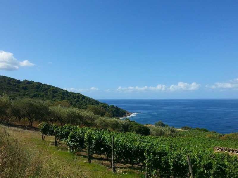 undiscoveredcilento_small