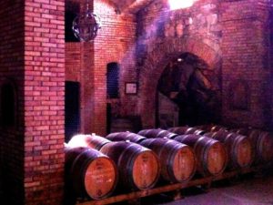 wine tours in italy with ICNOS Adventures