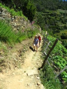 walks in the Cinque terre