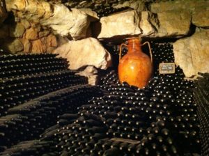 wine tour in Italy ICNOS Adventures